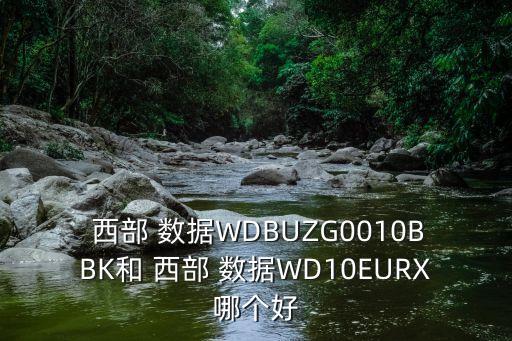  西部 數據WDBUZG0010BBK和 西部 數據WD10EURX哪個好
