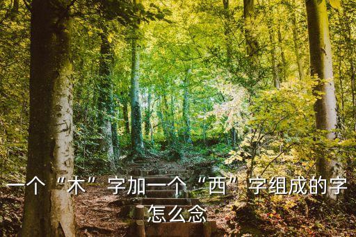 木西念什么,忙碌不累從汗水到繁花似錦