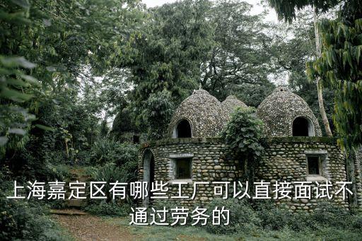 上海市嘉定區成豐電子廠，成豐電子廠有多少名員工