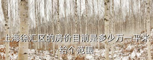 上海徐匯區的房價目前是多少萬一平米給個范圍