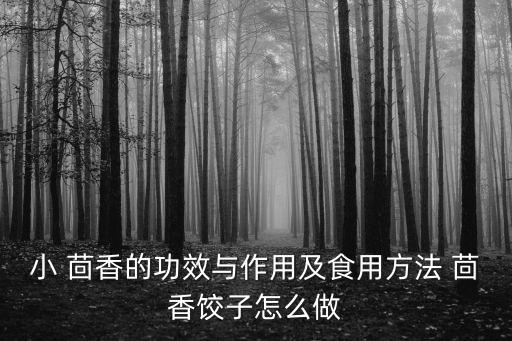 小茴香功效與作用,這些香料你準備好了嗎?