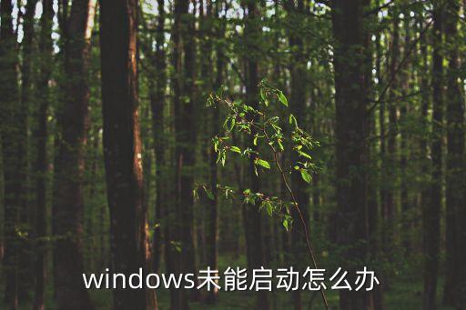 windows未能啟動(dòng)怎么辦