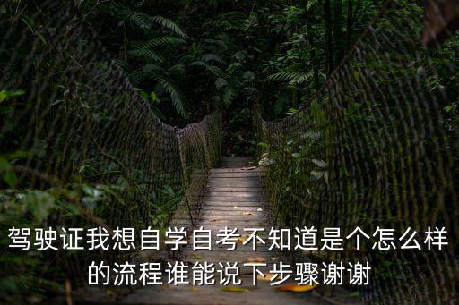 駕駛證我想自學自考不知道是個怎么樣的流程誰能說下步驟謝謝