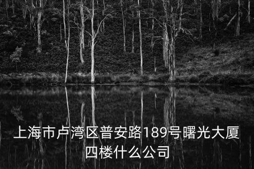 上海市盧灣區(qū)普安路189號(hào)曙光大廈四樓什么公司