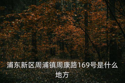 上海市浦東新區周康路屬于哪個縣，上海市周康路868弄56號屬于哪個區
