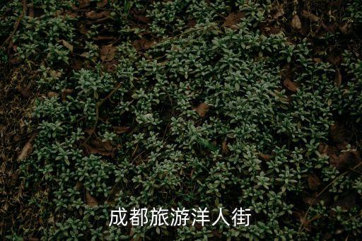 成都旅游洋人街