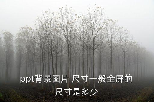  ppt背景圖片 尺寸一般全屏的 尺寸是多少