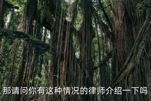 上海市匯業律師事務所楊平仲，那請問你有這種情況的律師介紹一下嗎