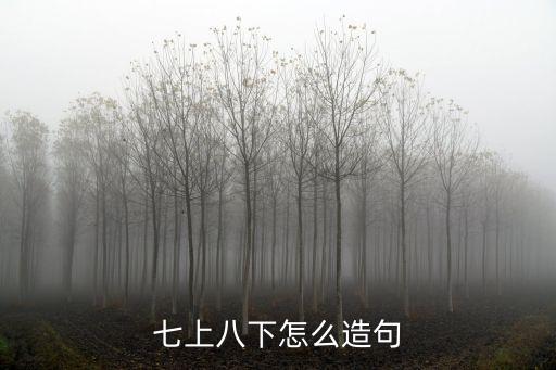 七上八下造句，用七上八下造句