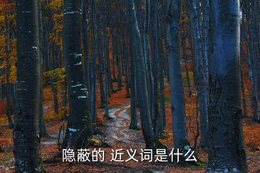 隱秘的近義詞,隱藏的意思（1）被附近東西掩蓋