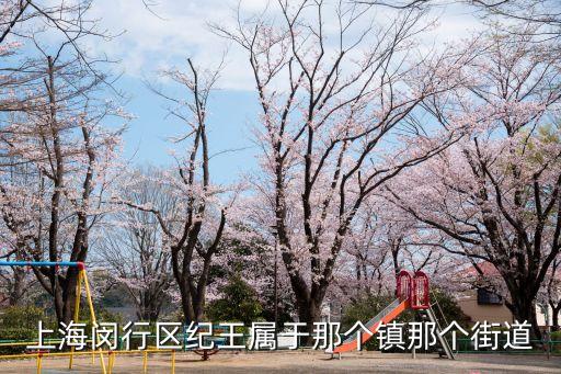 上海市閔行區(qū)紀(jì)王鎮(zhèn)圖片，上海市閔行區(qū)紀(jì)王屬于哪個(gè)街道