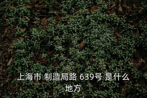 上海市 制造局路 639號(hào) 是什么地方