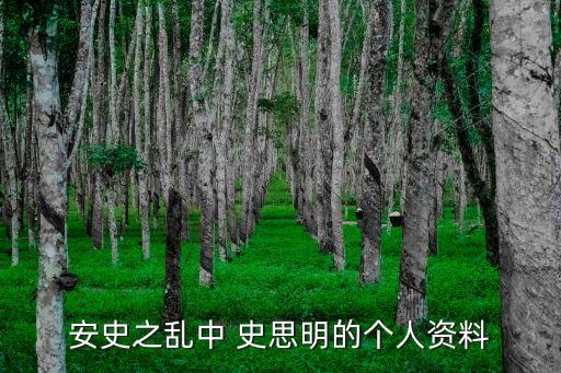 史思明,看劇哭喪命!男主角被抓偽造傳記勒死