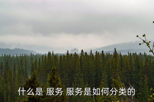 服務(wù)是什么,什么樣的服務(wù)是有形貨物附隨服務(wù)?