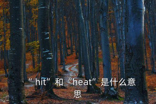 “ hit”和“heat”是什么意思