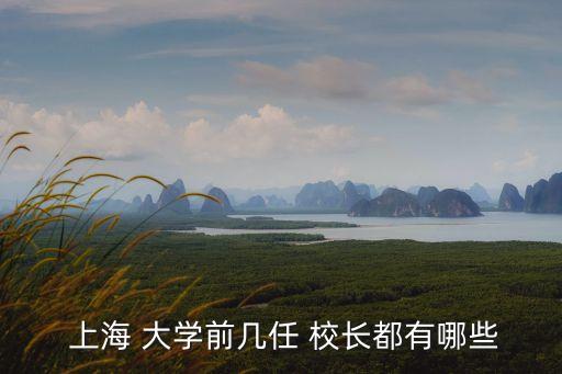 上海科技大學校長,上海科技大學成立以理工科為主的大學