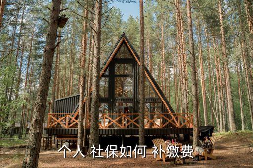 社保補(bǔ)繳,政府將為居民提供社保補(bǔ)繳服務(wù)