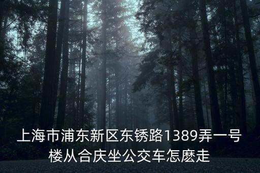 上海市浦東新區(qū)東銹路1389弄一號(hào)樓從合慶坐公交車(chē)怎麼走