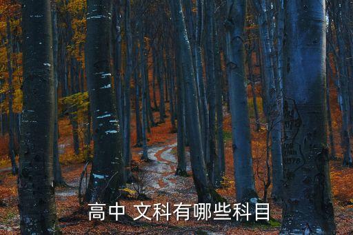  高中 文科有哪些科目