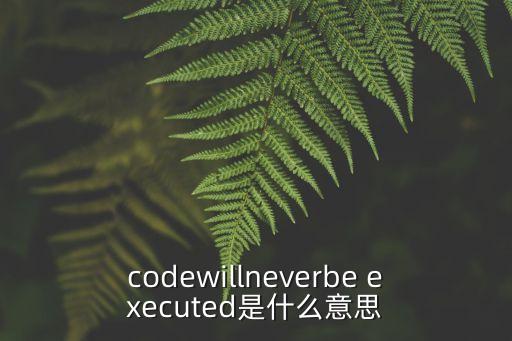 codewillneverbe executed是什么意思