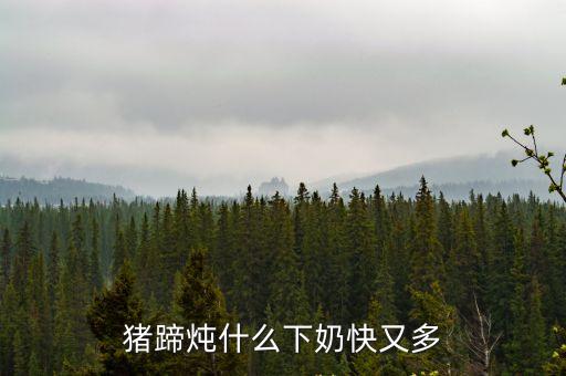 豬蹄燉什么下奶快又多