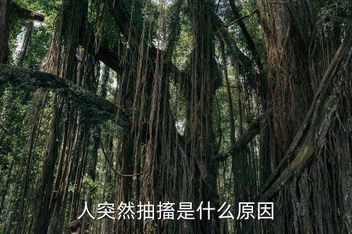 正常人突然抽搐是什么原因，抽搐的原因是什么