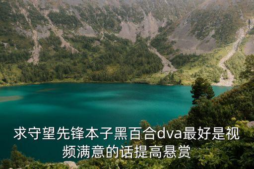 求守望先鋒本子黑百合dva最好是視頻滿意的話提高懸賞