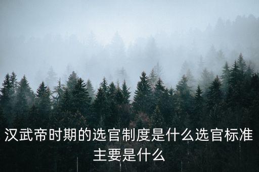 征辟制和察舉制,武漢漢武帝時期推行征辟制度選官