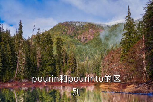 pourin和pourinto的區別