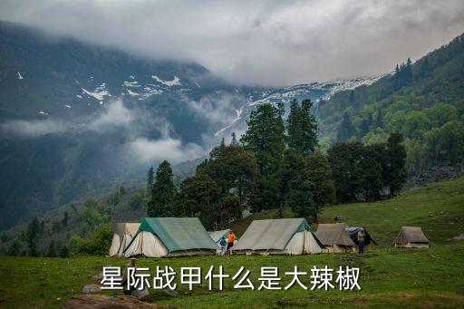 星際戰(zhàn)甲什么是大辣椒