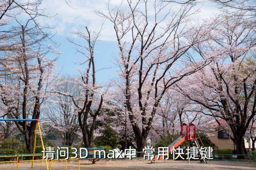 3dmax快捷鍵命令大全，3DSMAX常用命令和快捷鍵