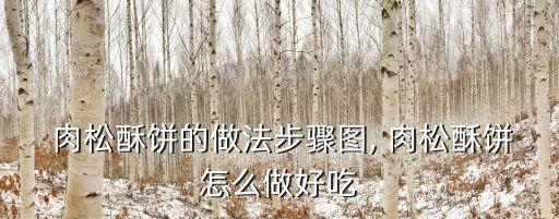 肉松酥,秘制肉松脆皮法