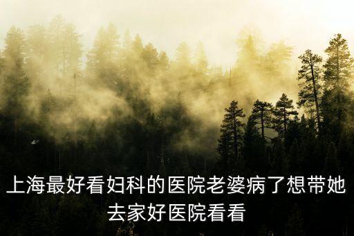 上海市第一婦嬰保健院圖片，上海最好的婦科醫(yī)院