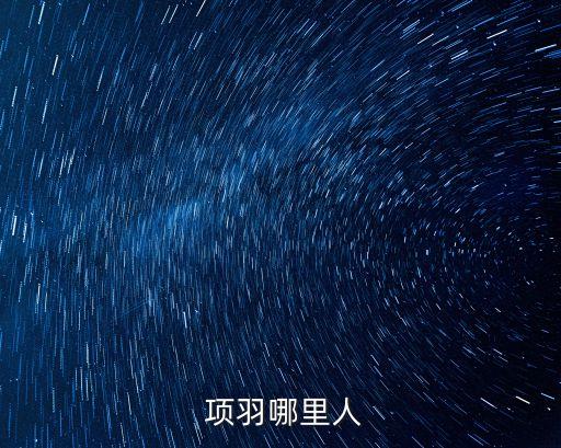  項羽哪里人