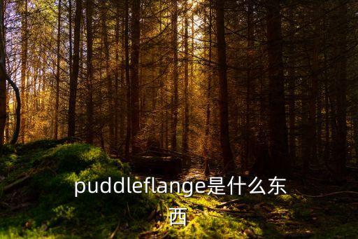  puddleflange是什么東西