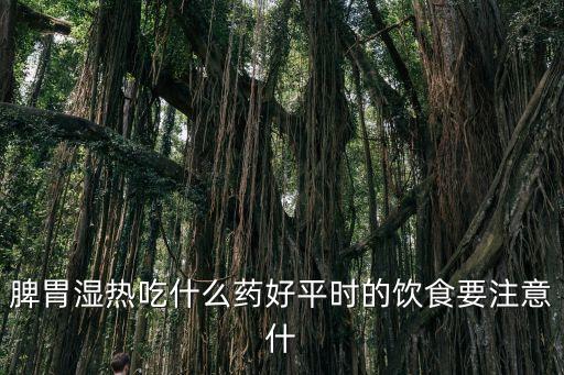 脾胃濕熱吃什么藥，脾胃濕熱吃什么藥