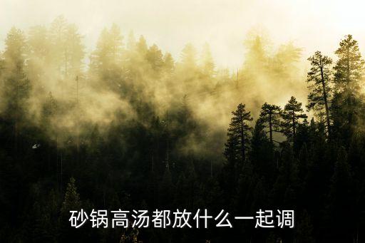砂鍋高湯都放什么一起調