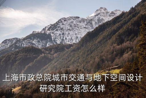 上海市政 地下空間 馬 院長(zhǎng)，上海市政設(shè)計(jì)研究總院廣州分院怎么樣