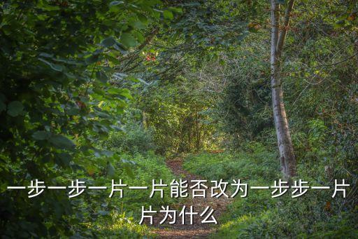一步一步一片一片能否改為一步步一片片為什么