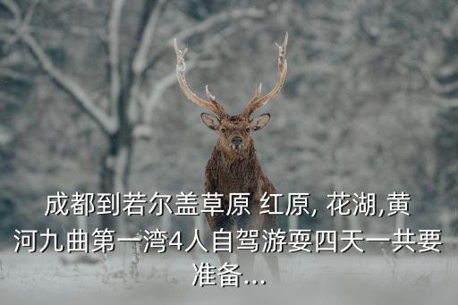 成都到若爾蓋草原 紅原, 花湖,黃河九曲第一灣4人自駕游耍四天一共要準備...