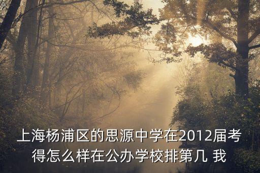 上海市思源中學中考升學率，上海楊浦區(qū)的思源中學在2012屆考得怎么樣在公辦學校排第幾 我