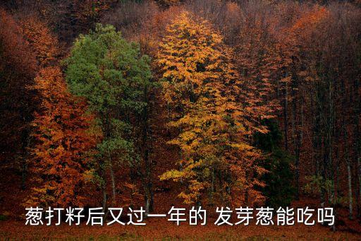 發芽蔥,洋蔥發芽上市因為剛上市叫發芽蔥