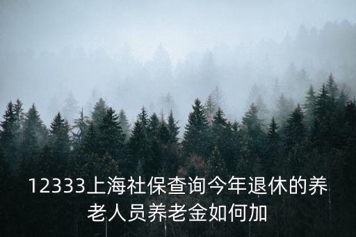 今年養老金調整上海市，12333上海社保查詢今年退休的養老人員養老金如何加