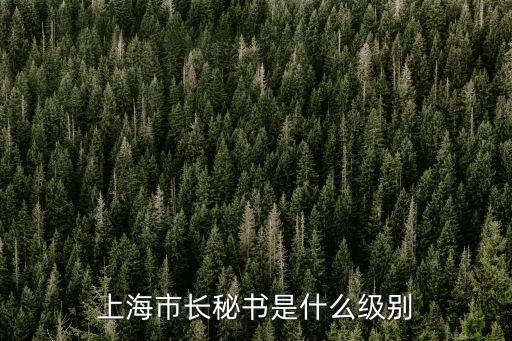 上海市長秘書是什么級別