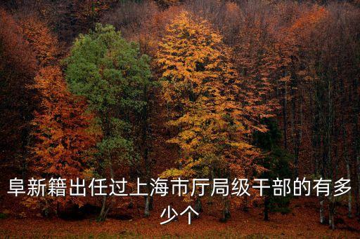 阜新籍出任過上海市廳局級干部的有多少個