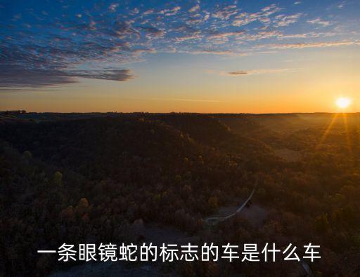 flat是什么車,汽車故事:眼鏡蛇原來是意大利品牌cabo