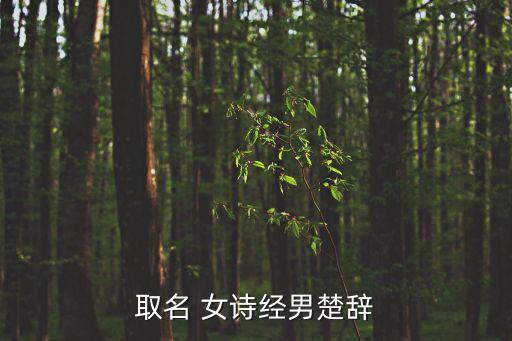 男楚辭女詩經取名，取名 男楚辭 女詩經 唐詩宋詞也可以