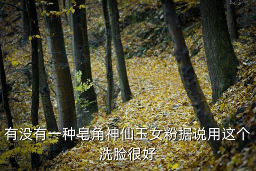 有沒有一種皂角神仙玉女粉據說用這個洗臉很好