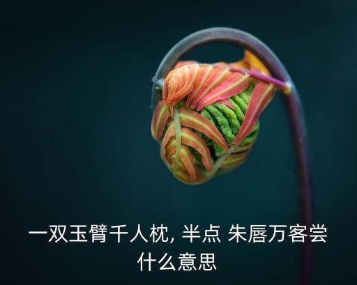 半點朱唇,第二集:半點朱唇萬客的名句