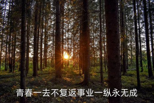 青春一去不復(fù)返事業(yè)一縱永無成